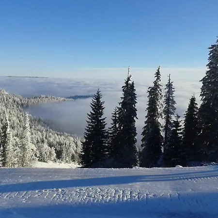 Διαμέρισμα Vikendica Zlatna Zita *