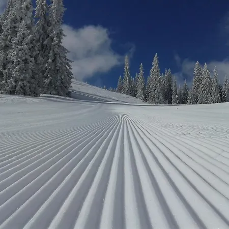 Διαμέρισμα Vikendica Zlatna Zita *