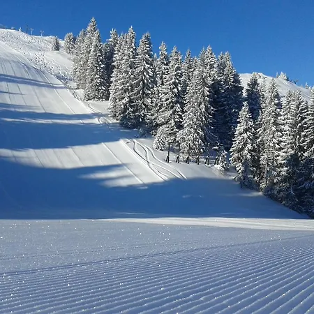Vikendica Zlatna Zita Τζαχορίνα