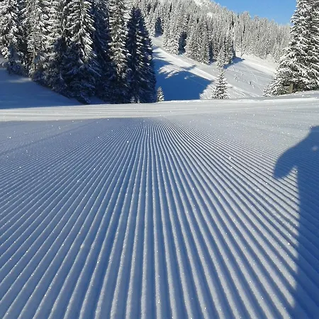 Vikendica Zlatna Zita